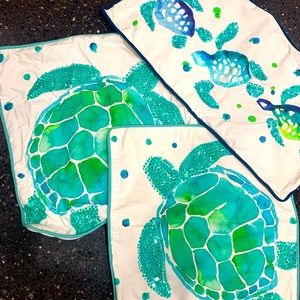 Pottery Barn Teen pillow covers / sham